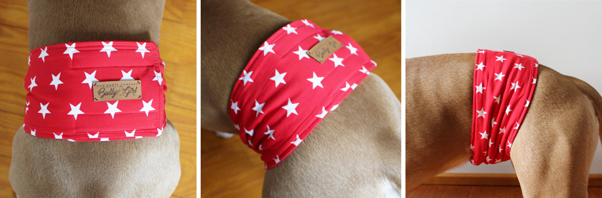 Gentleman Wrap - Belt - Belly Band  - White Stars On Red