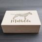 Preview: Bull Terrier - wooden box - ORNAMENTED + NAME