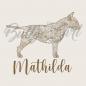 Preview: Bullterrier - Holzbox / Holzkiste - ORNAMENTED + NAME