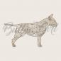 Preview: Bullterrier - Holzbox / Holzkiste - ORNAMENTED ONLY