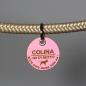 Preview: DOG TAG / HUNDEMARKE - BIOTHANE - personalisiert