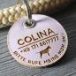 Preview: DOG TAG - BIOTHANE - personalized