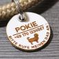 Preview: DOG TAG - BIOTHANE - personalized