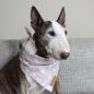 Preview: Hund Halstuch / Bandana - BULLTERRIER YOGA