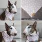 Preview: Hund Halstuch / Bandana - BULLTERRIER YOGA