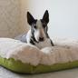 Preview: Dog Bed - L - Bully Yard