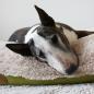 Preview: Hundebett - L - Bully Yard