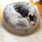 Preview: Dog Bed - M - BullyHome