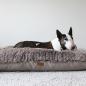 Preview: Dog Bed - M - Bully Yard