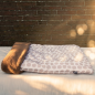 Preview: HUNDESCHLAFSACK - dotted elegance