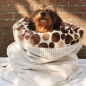 Preview: Hundeschlafsack DOTTY COFFEE
