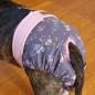 Mobile Preview: Dog Season Pants / Dog Heat Pants - LILAC FLOWER