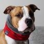 Preview: dog scarf  - LOOP - Red Baron