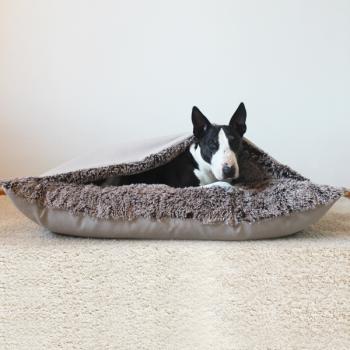Dog Bed - M - Bully Cave