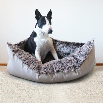 Dog Bed - XL - Bully Cave