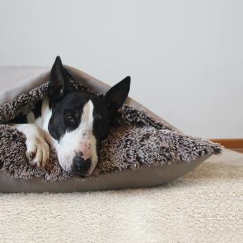 Dog Bed - XL - Bully Cave