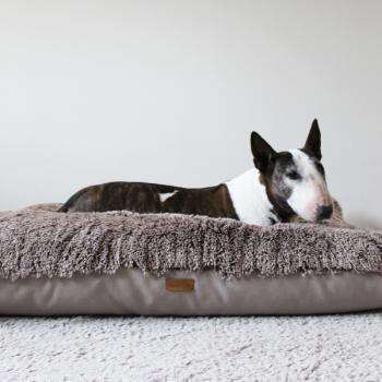 Dog Bed - XL - Bully Yard
