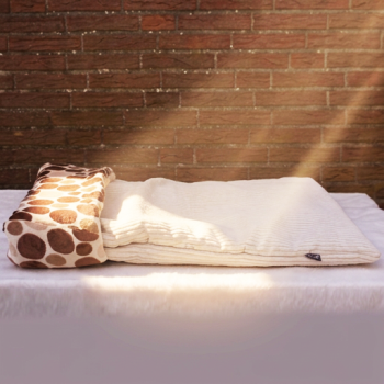 Preview: Hundeschlafsack DOTTY COFFEE