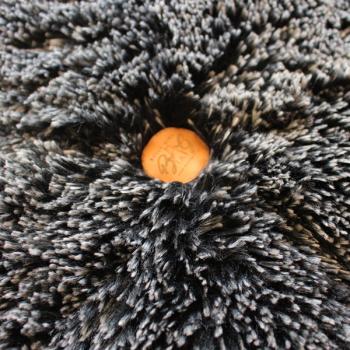 Preview: Kronenkissen - Hund - Bully Plush - anthrazit