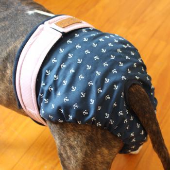 Dog Season Pants / Dog Heat Pants - ANCHORS ON BLUE