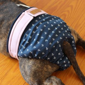 Dog Season Pants / Dog Heat Pants - ANCHORS ON BLUE