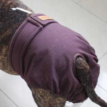 Preview: Läufigkeitshose - BROWN SUGAR