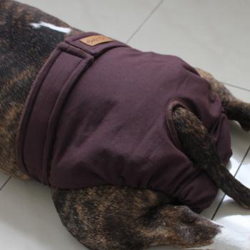 Preview: Läufigkeitshose - BROWN SUGAR