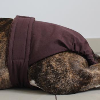 Preview: Läufigkeitshose - BROWN SUGAR