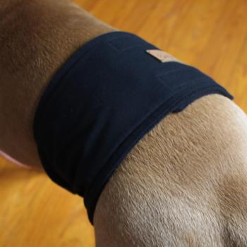 Gentleman Wrap / Gentleman Belt - for dogs - BLACK