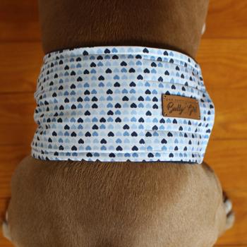 Gentleman Wrap / Gentleman Belt - for dogs - BLUE LOVE