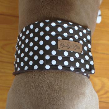 Gentleman Wrap / Gentleman Belt - for dogs - BROWN SUGAR