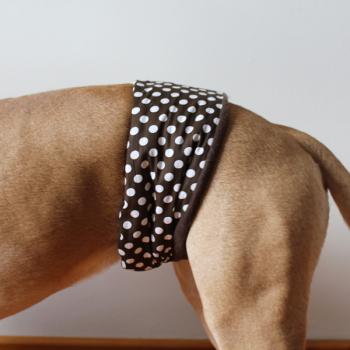 Gentleman Wrap / Gentleman Belt - for dogs - BROWN SUGAR