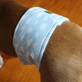 Gentleman Wrap / Gentleman Belt - for dogs - CLOUDY SKY