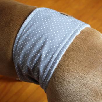 Gentleman Wrap / Gentleman Belt - for dogs - DOTTED SILVER