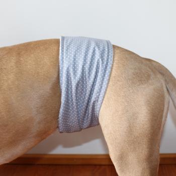 Preview: Rüdenbinde / Rüdengürtel - DOTTED SILVER