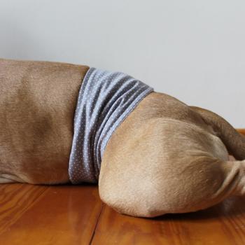 Gentleman Wrap / Gentleman Belt - for dogs - DOTTED SILVER