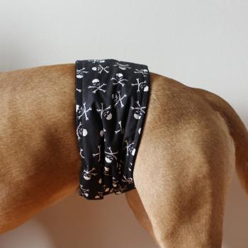 Gentleman Wrap / Gentleman Belt - for dogs - LIL` PIRATE