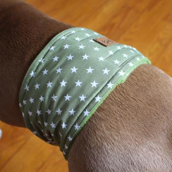 Gentleman Wrap / Gentleman Belt - for dogs - WHITE STARS ON GREEN