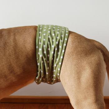 Gentleman Wrap / Gentleman Belt - for dogs - WHITE STARS ON GREEN