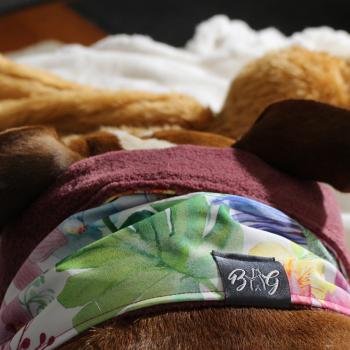 Preview: Hundeschal - LOOP - Jungle Flowers