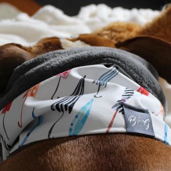 Preview: Hundeschal - LOOP - Colorful Umbrellas