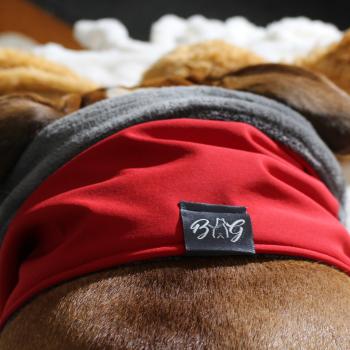 Preview: Hundeschal - LOOP - Red Baron