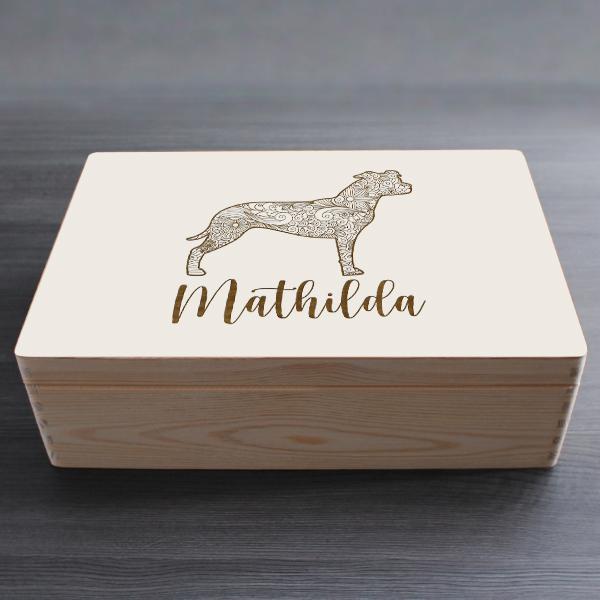 American Staffordshire Terrier - wooden box - ORNAMENTED NAME