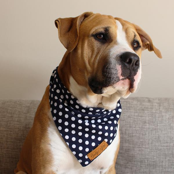 Hund Halstuch / Bandana - BIG WHITE DOTS ON BLUE