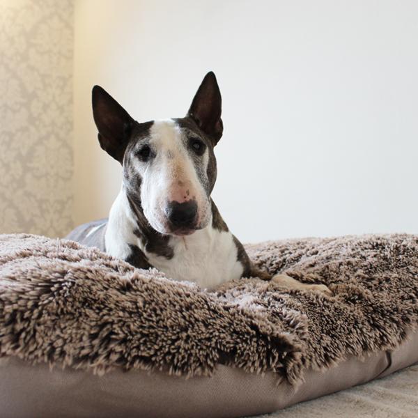 Hundebett - L - Bully Yard