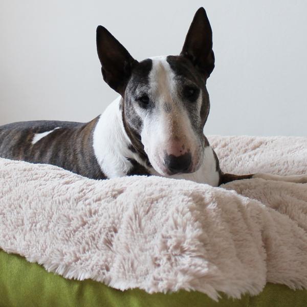 Hundebett - M - Bully Yard