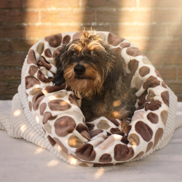 Hundeschlafsack DOTTY COFFEE
