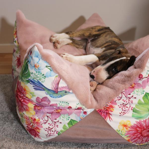 Kronenkissen - Hund - Raptor Jungle