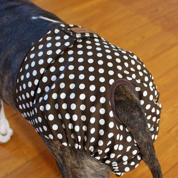 Dog Season Pants / Dog Heat Pants - BIG WHITE DOTS ON BROWN