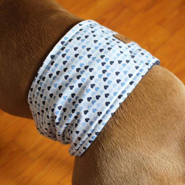Gentleman Wrap / Gentleman Belt - for dogs - BLUE LOVE